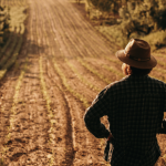 Agropecuária Grama Roxa Ltda