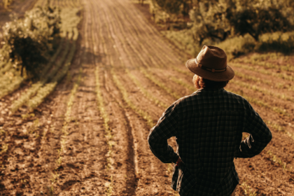 Agropecuária Grama Roxa Ltda