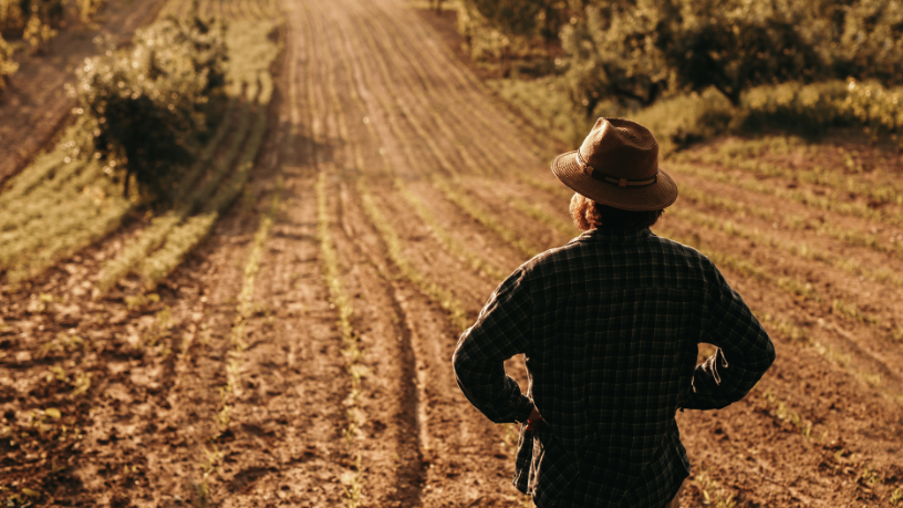Agropecuária Grama Roxa Ltda